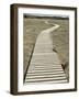 Boardwalk across a Tidal Marsh Leading to a Wooden Area at a Wildlife Sanctuary-John Nordell-Framed Photographic Print