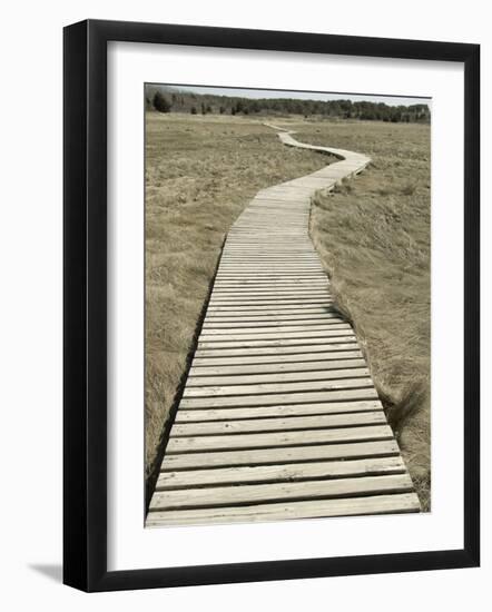 Boardwalk across a Tidal Marsh Leading to a Wooden Area at a Wildlife Sanctuary-John Nordell-Framed Photographic Print