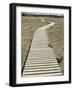 Boardwalk across a Tidal Marsh Leading to a Wooden Area at a Wildlife Sanctuary-John Nordell-Framed Photographic Print