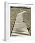 Boardwalk across a Tidal Marsh Leading to a Wooden Area at a Wildlife Sanctuary-John Nordell-Framed Photographic Print