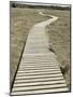 Boardwalk across a Tidal Marsh Leading to a Wooden Area at a Wildlife Sanctuary-John Nordell-Mounted Photographic Print
