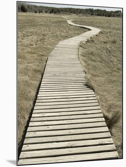 Boardwalk across a Tidal Marsh Leading to a Wooden Area at a Wildlife Sanctuary-John Nordell-Mounted Photographic Print