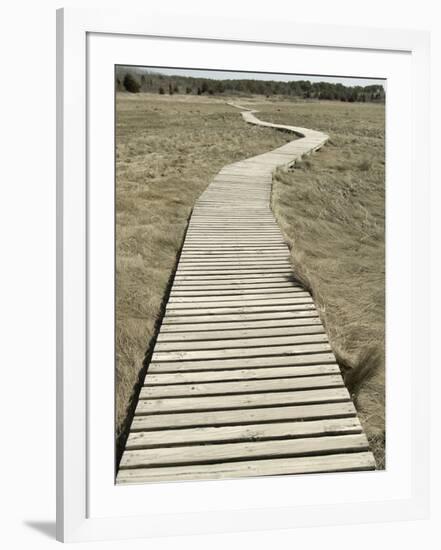 Boardwalk across a Tidal Marsh Leading to a Wooden Area at a Wildlife Sanctuary-John Nordell-Framed Photographic Print