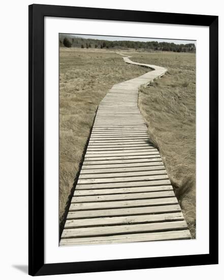 Boardwalk across a Tidal Marsh Leading to a Wooden Area at a Wildlife Sanctuary-John Nordell-Framed Photographic Print