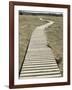 Boardwalk across a Tidal Marsh Leading to a Wooden Area at a Wildlife Sanctuary-John Nordell-Framed Photographic Print