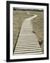 Boardwalk across a Tidal Marsh Leading to a Wooden Area at a Wildlife Sanctuary-John Nordell-Framed Photographic Print