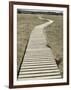 Boardwalk across a Tidal Marsh Leading to a Wooden Area at a Wildlife Sanctuary-John Nordell-Framed Photographic Print