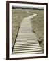 Boardwalk across a Tidal Marsh Leading to a Wooden Area at a Wildlife Sanctuary-John Nordell-Framed Photographic Print