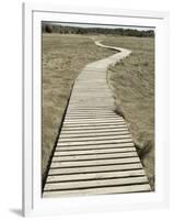 Boardwalk across a Tidal Marsh Leading to a Wooden Area at a Wildlife Sanctuary-John Nordell-Framed Photographic Print