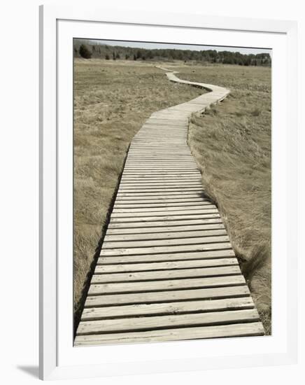 Boardwalk across a Tidal Marsh Leading to a Wooden Area at a Wildlife Sanctuary-John Nordell-Framed Photographic Print