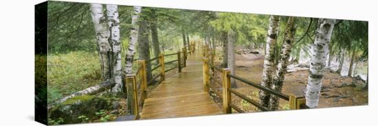 Boardwalk Along a River, Gooseberry River, Gooseberry Falls State Park, Minnesota, USA-null-Stretched Canvas