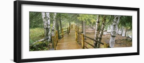 Boardwalk Along a River, Gooseberry River, Gooseberry Falls State Park, Minnesota, USA-null-Framed Photographic Print