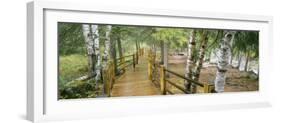 Boardwalk Along a River, Gooseberry River, Gooseberry Falls State Park, Minnesota, USA-null-Framed Photographic Print