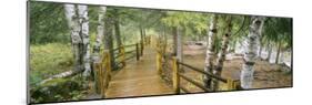 Boardwalk Along a River, Gooseberry River, Gooseberry Falls State Park, Minnesota, USA-null-Mounted Photographic Print