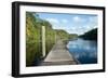 Boardwalk along Wades Creek, near St. Augustine, Florida, United States of America, North America-Ethel Davies-Framed Photographic Print