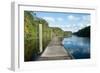 Boardwalk along Wades Creek, near St. Augustine, Florida, United States of America, North America-Ethel Davies-Framed Photographic Print