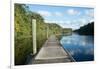 Boardwalk along Wades Creek, near St. Augustine, Florida, United States of America, North America-Ethel Davies-Framed Photographic Print