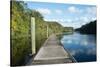 Boardwalk along Wades Creek, near St. Augustine, Florida, United States of America, North America-Ethel Davies-Stretched Canvas