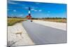 Boardwalk and Lighthouse, Fire Island, New York-George Oze-Mounted Photographic Print