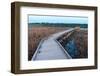 Boardwalk and Marsh in Minnesota River Wildlife Refuge-jrferrermn-Framed Photographic Print