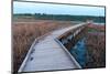 Boardwalk and Marsh in Minnesota River Wildlife Refuge-jrferrermn-Mounted Photographic Print