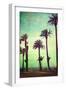 Boardwalk and Palms-Lantern Press-Framed Art Print