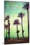 Boardwalk and Palms-Lantern Press-Mounted Art Print