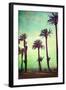 Boardwalk and Palms-Lantern Press-Framed Art Print