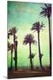 Boardwalk and Palms-Lantern Press-Mounted Art Print