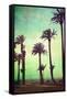 Boardwalk and Palms-Lantern Press-Framed Stretched Canvas