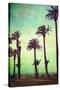 Boardwalk and Palms-Lantern Press-Stretched Canvas