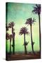 Boardwalk and Palms-Lantern Press-Stretched Canvas