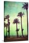 Boardwalk and Palms-Lantern Press-Stretched Canvas