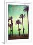 Boardwalk and Palms-Lantern Press-Framed Art Print