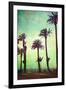 Boardwalk and Palms-Lantern Press-Framed Art Print