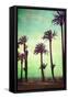 Boardwalk and Palms-Lantern Press-Framed Stretched Canvas