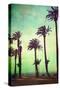 Boardwalk and Palms-Lantern Press-Stretched Canvas