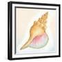 Boardwalk Conch-Elyse DeNeige-Framed Art Print