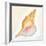 Boardwalk Conch-Elyse DeNeige-Framed Art Print