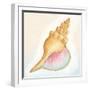 Boardwalk Conch-Elyse DeNeige-Framed Art Print