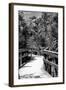 Boardwalk - Florida-Philippe Hugonnard-Framed Photographic Print