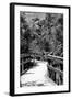 Boardwalk - Florida-Philippe Hugonnard-Framed Photographic Print