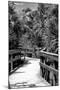 Boardwalk - Florida-Philippe Hugonnard-Mounted Photographic Print
