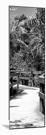 Boardwalk - Florida-Philippe Hugonnard-Mounted Photographic Print