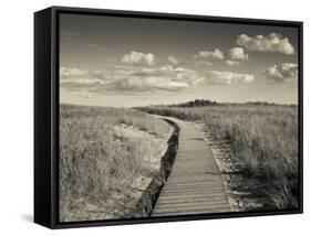 Boardwalk, Good Harbour Beach, Gloucester, Cape Ann, Massachusetts, USA-Walter Bibikow-Framed Stretched Canvas