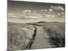 Boardwalk, Good Harbour Beach, Gloucester, Cape Ann, Massachusetts, USA-Walter Bibikow-Mounted Photographic Print