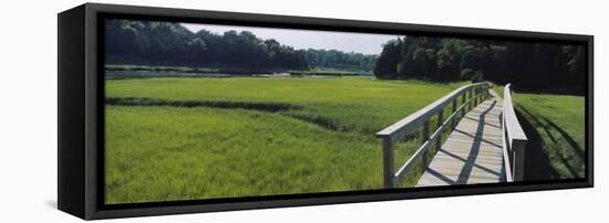 Boardwalk in a Field, Nauset Marsh, Cape Cod, Massachusetts, USA-null-Framed Stretched Canvas