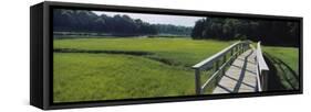 Boardwalk in a Field, Nauset Marsh, Cape Cod, Massachusetts, USA-null-Framed Stretched Canvas