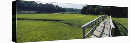 Boardwalk in a Field, Nauset Marsh, Cape Cod, Massachusetts, USA-null-Stretched Canvas