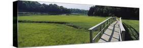 Boardwalk in a Field, Nauset Marsh, Cape Cod, Massachusetts, USA-null-Stretched Canvas